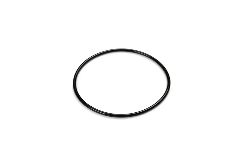 O-RING ON TITANIUM PLATES