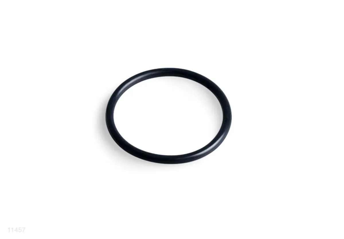 O-RING FOR ELECTROLYTIC CELL FOR BUBBLE SPA