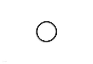INLET FILTER O-RING FOR 28001