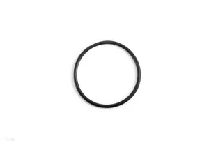 TITANIUM ELECTRODE O-RING FOR 54605/54606/54615/54616