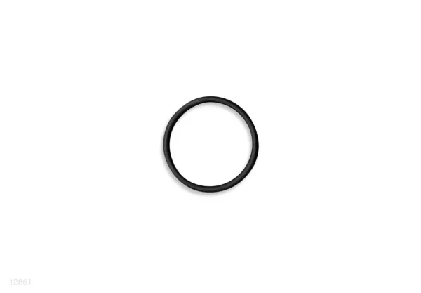 INLET FILTER O-RING FOR 28001