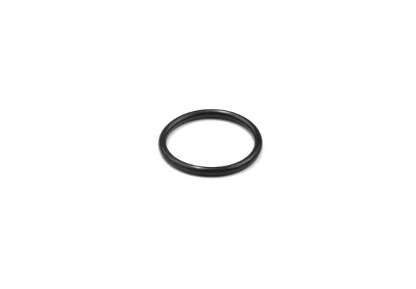 VALVE O-RING